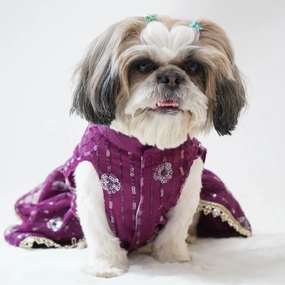 Pawgypets Net Lehenga for Dogs (Violet)