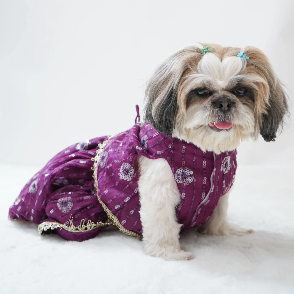 Pawgypets Net Lehenga for Dogs (Violet)