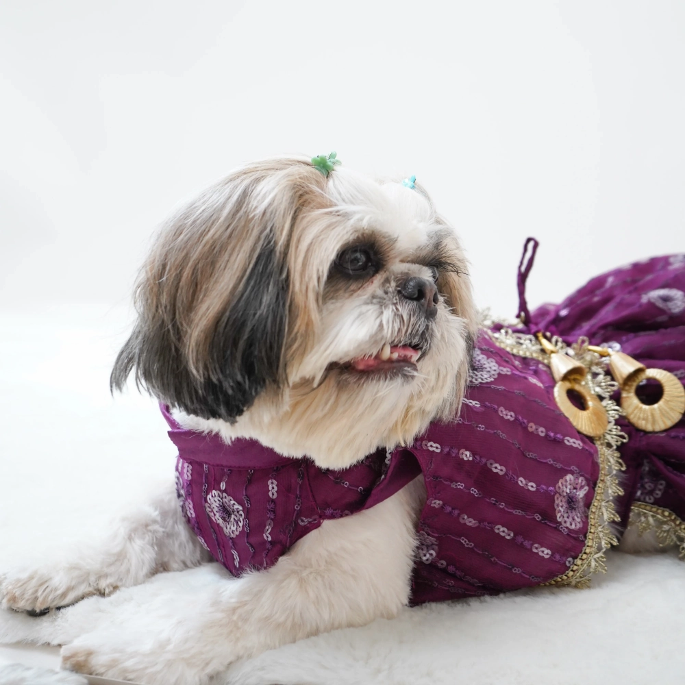 Pawgypets Net Lehenga for Dogs (Violet)