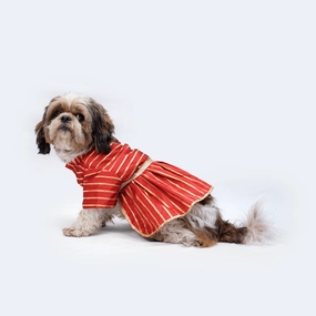 Pawgypets Occasion Wear Gota Dress for Dogs and Cats (Red)