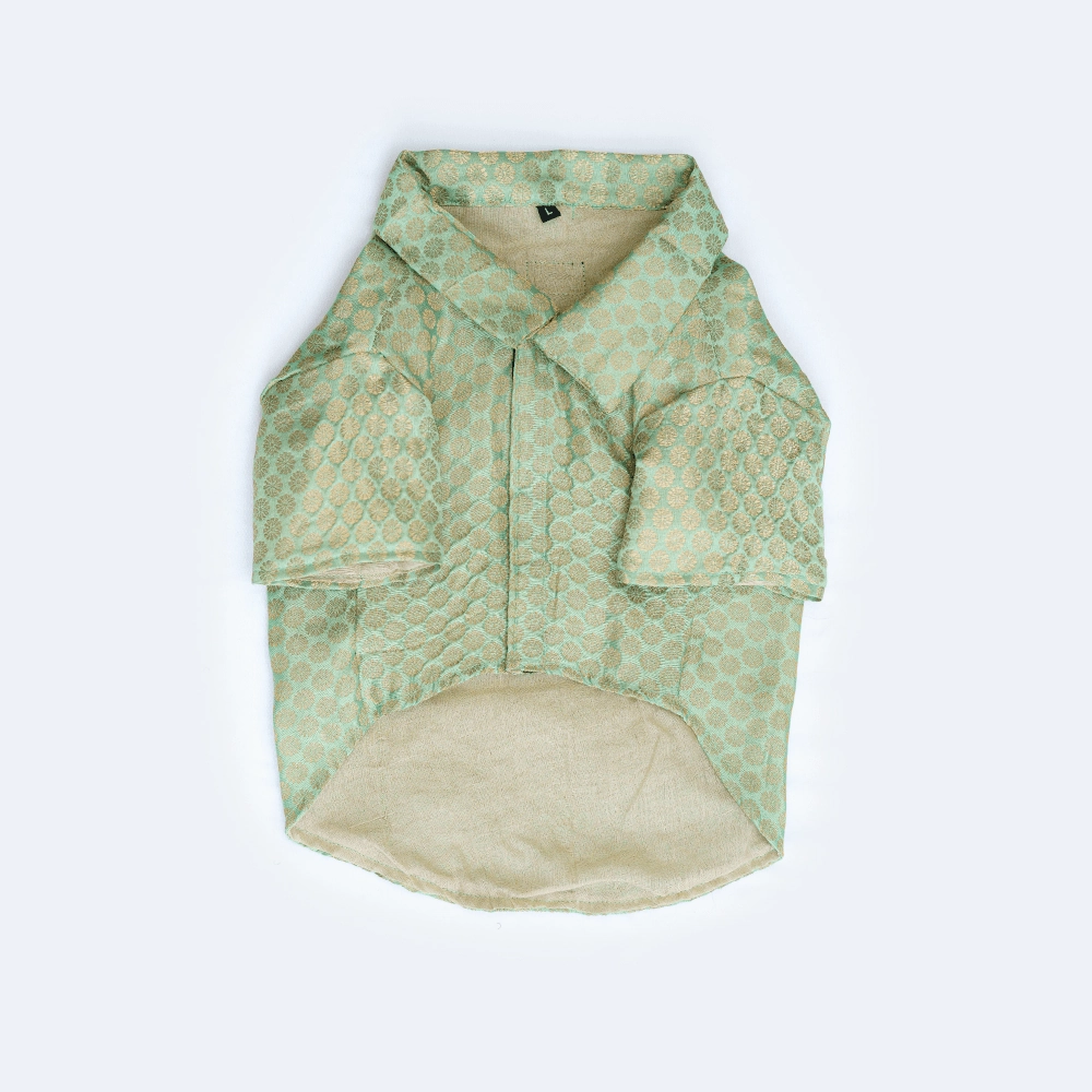 Pawgypets Occasion Wear Shirt for Dogs and Cats (Pista Green)