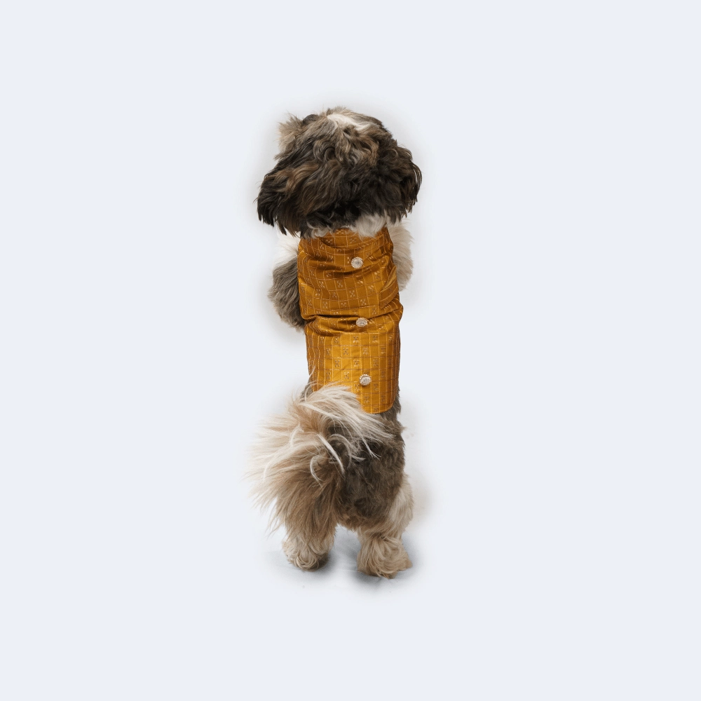 Pawgypets Strapy Sherwani for Dogs and Cats (Mustard)