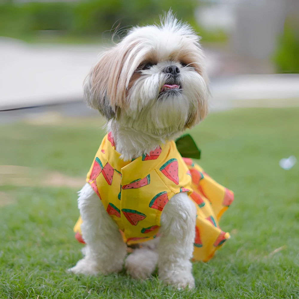 Pawgypets Watermelon Surgar Dress for Dogs (Yellow)