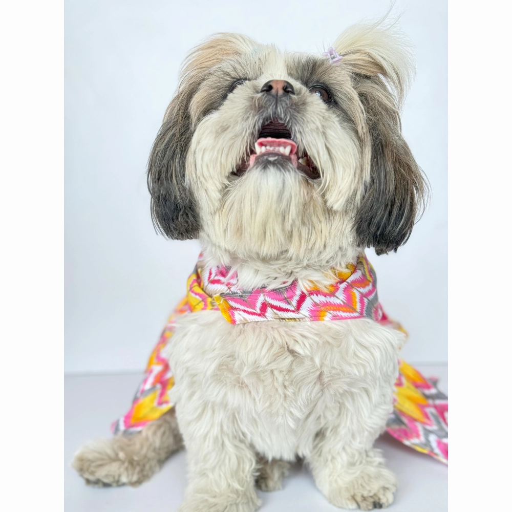 Pawgypets Zig Zag Dress for Dogs and Cats (Pink)