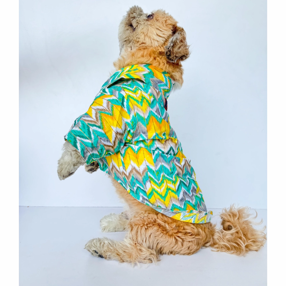 Pawgypets Zig Zag Kurta for Dogs and Cats (Green)