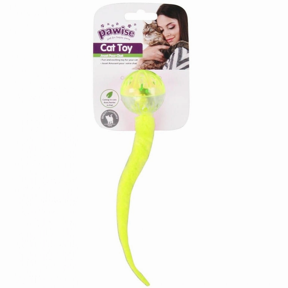 PAWISE Baby Snake w/Ball