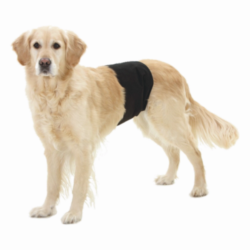 PAWISE Gentleman Wrap