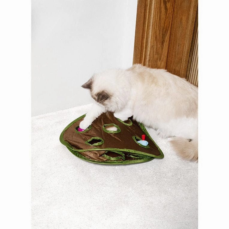 PAWISE  Mouse Hunt Toy