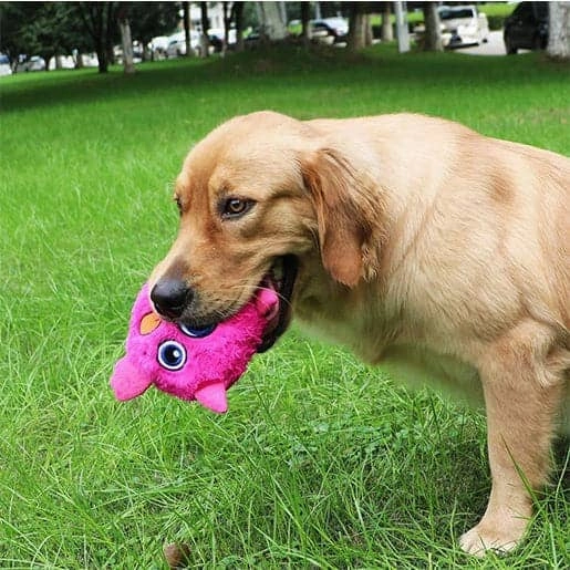 Pawsindia Trembling Monster Toy for Dogs (Blue)