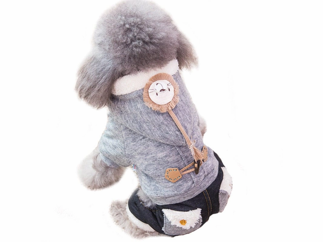 Pet Clothes As Photo