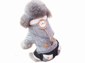 Pet Clothes As Photo