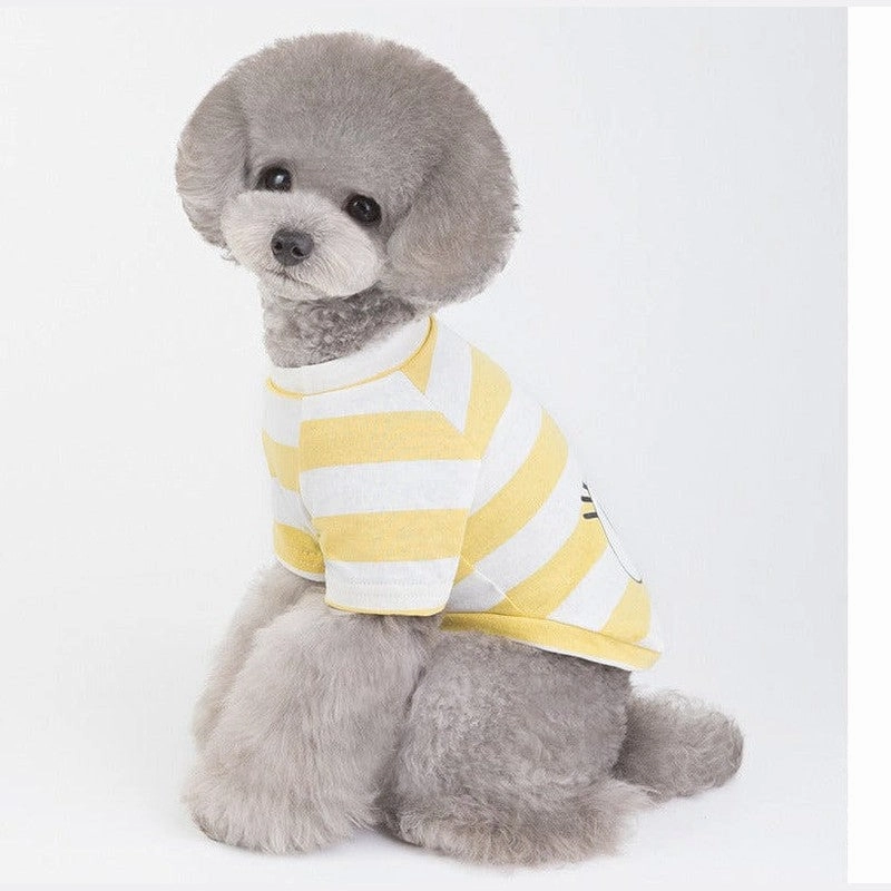 Pet Clothes Type 2