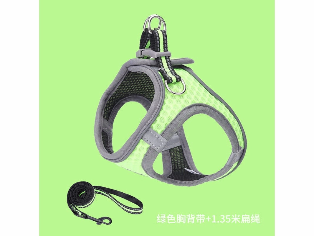 Pet Harness