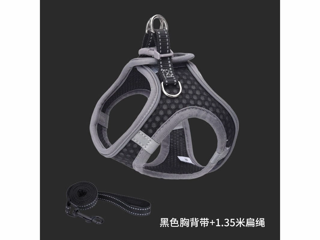 Pet Harness