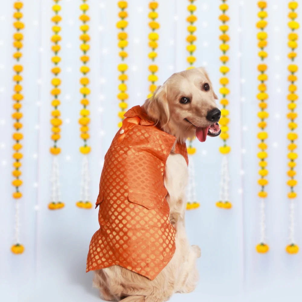 Pet Set Go Kurta with Bowtie  for Dogs (Orange)