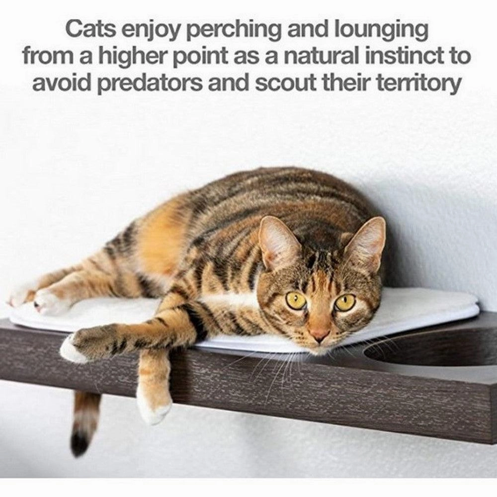 PetFusion Wall Activity Shelf Medium - CLEARANCE