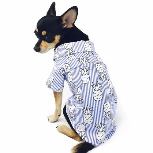 Pineapple Shirt in Blue