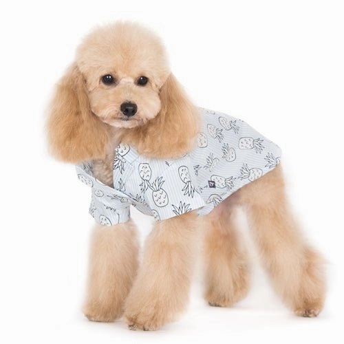 Pineapple Shirt -Light Blue
