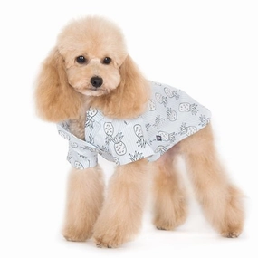 Pineapple Shirt -Light Blue
