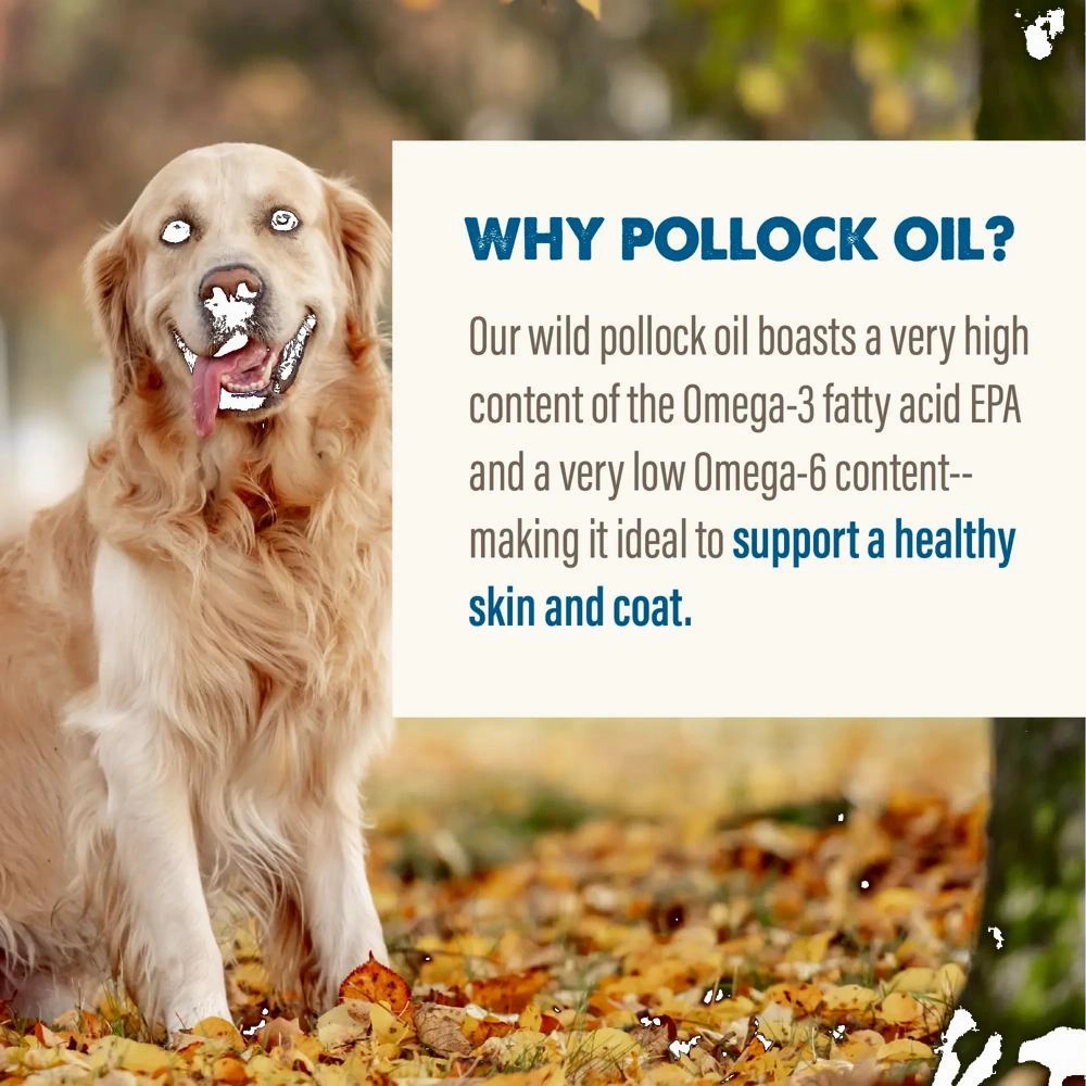Pollock Oil Dog Food Supplement