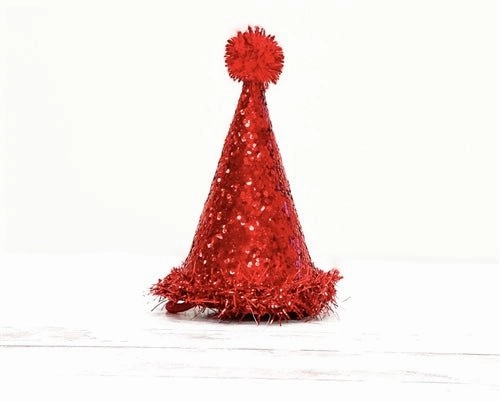 Pooch Party Hat in Red