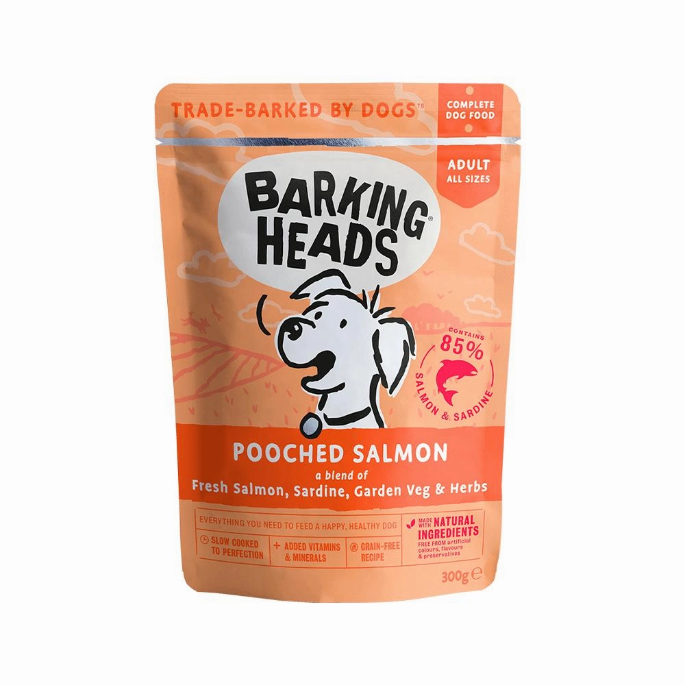 Pooched Salmon Wet Dog Food