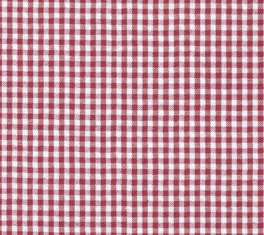 Preppy Red Gingham Girl Dog Flower Bow Tie Collar