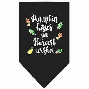 Pumpkin Kisses Screen Print Bandana in Many Colors