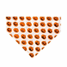 Pumpkin Land Dog Bandana