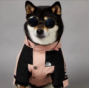 Pup Waterproof Dog Coat