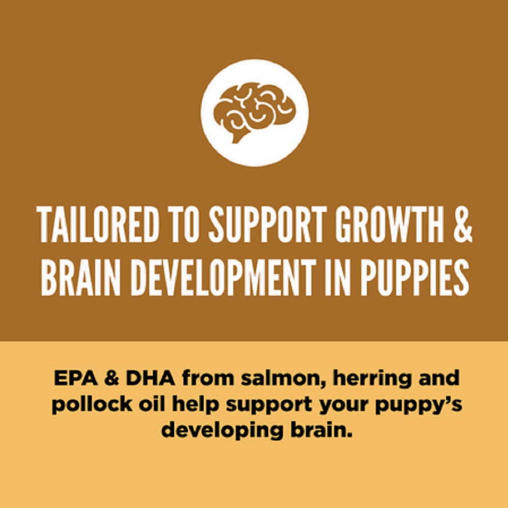 Puppy Formula Chicken & Turkey Dog Dry Food (USA)