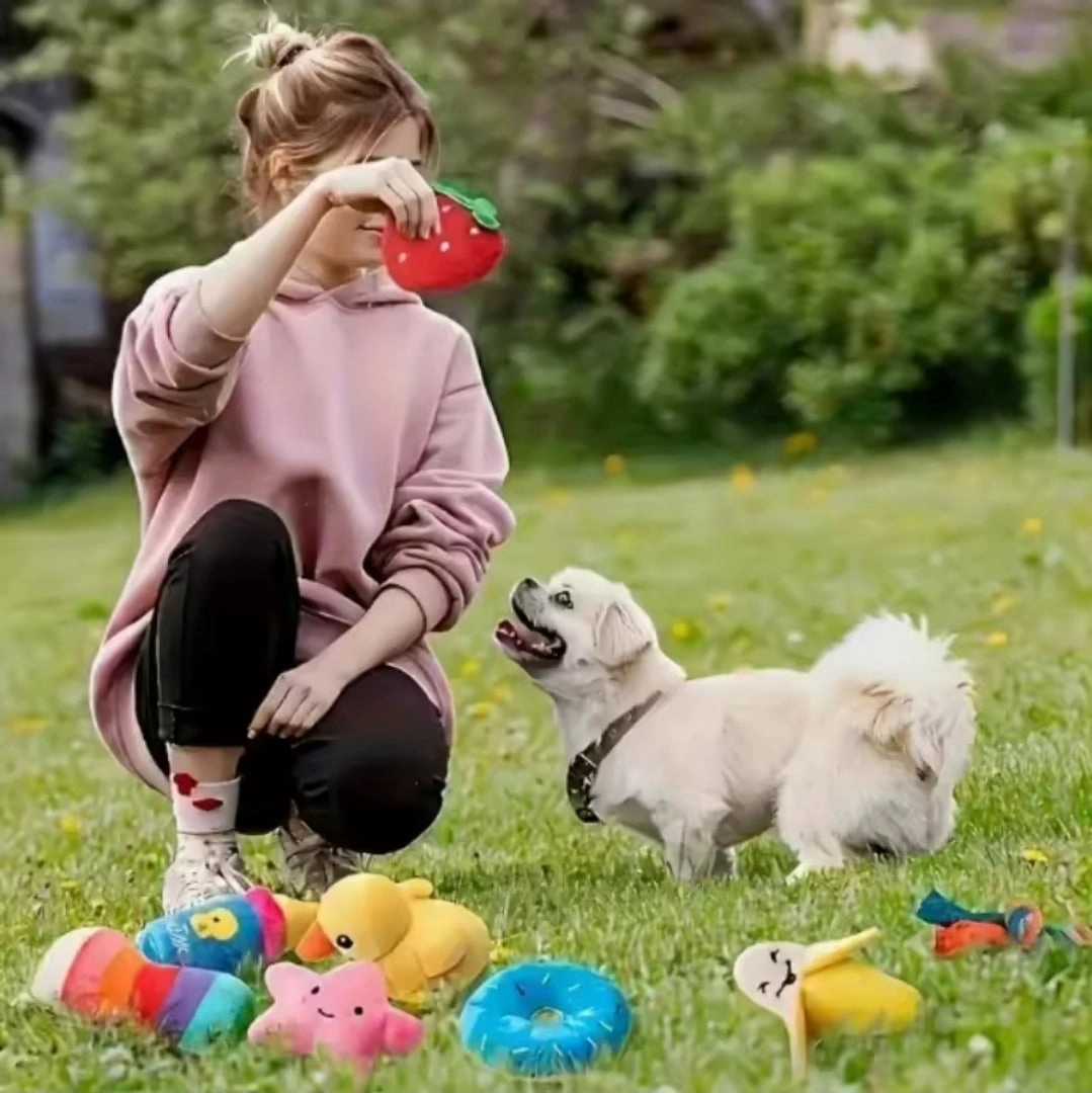 Puppy's First Toy Bumper Box