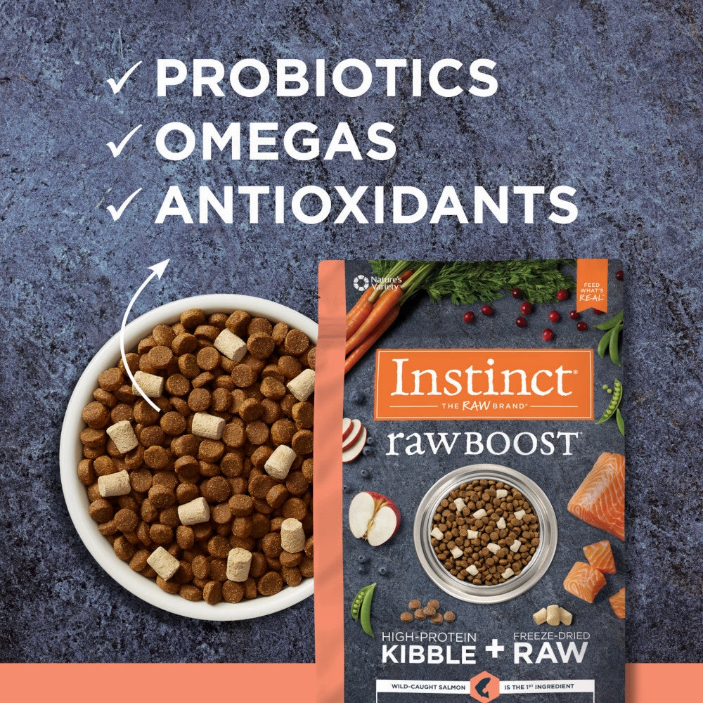 Raw Boost Grain-Free Recipe Kibble   Raw Dog Dry Food- Salmon