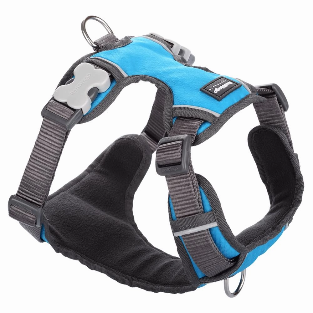 Red Dingo Padded Dog Harness (Extra-Small)