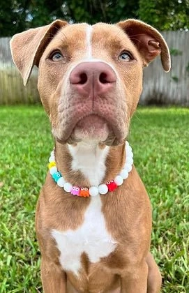 Retro Video Game Collar in White