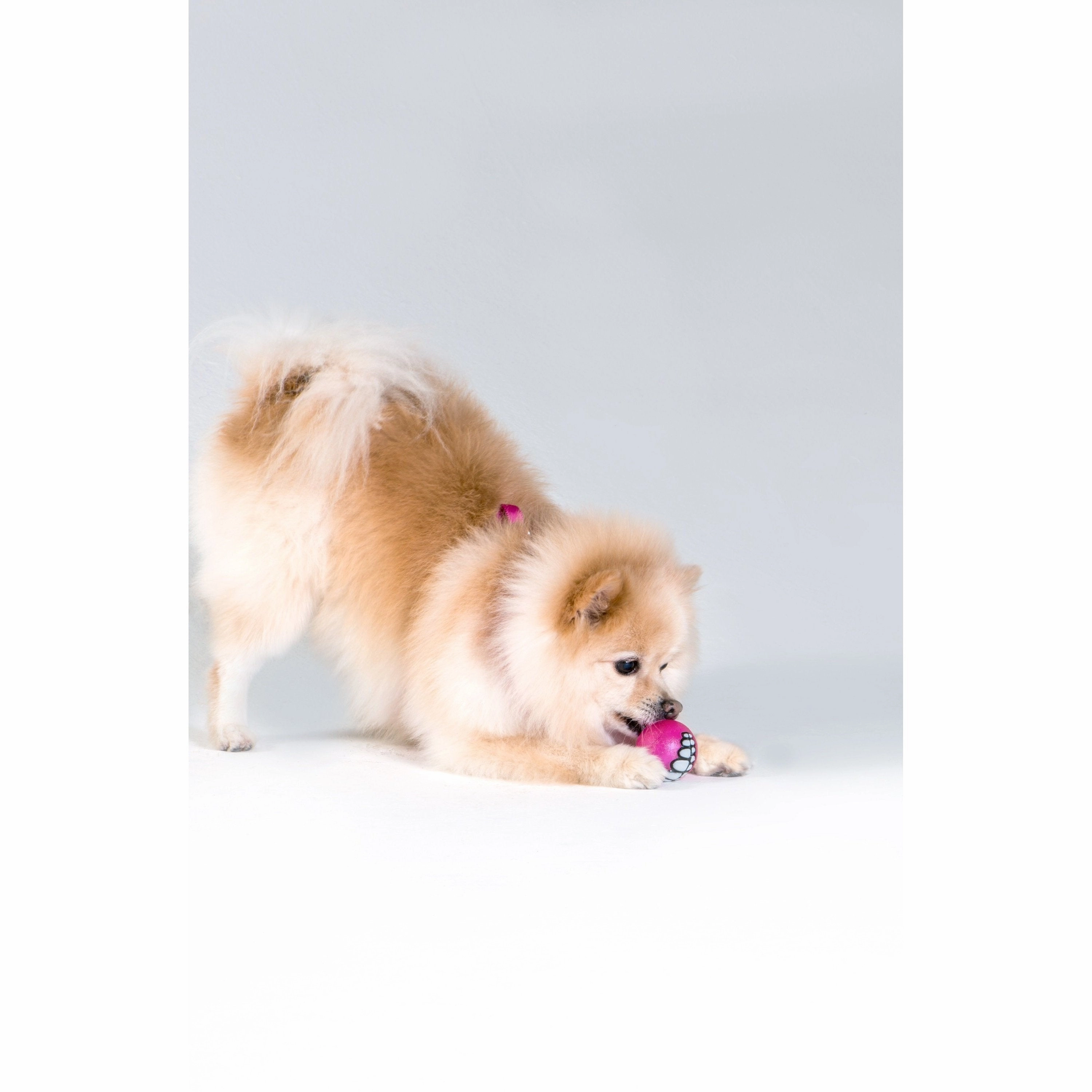 Rogz Grinz Ball Medium Dog Toy Pink
