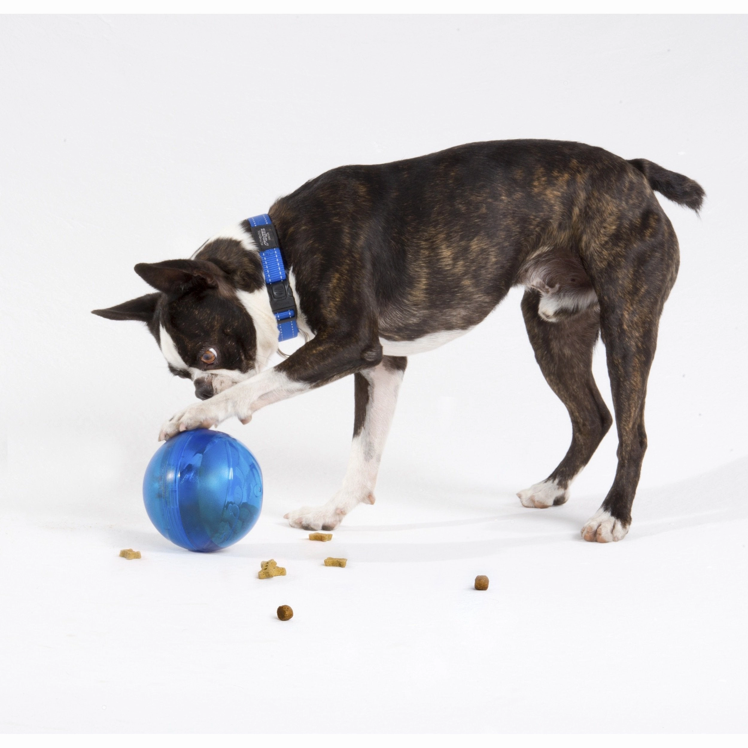Rogz Tumbler Dog Toy Blue