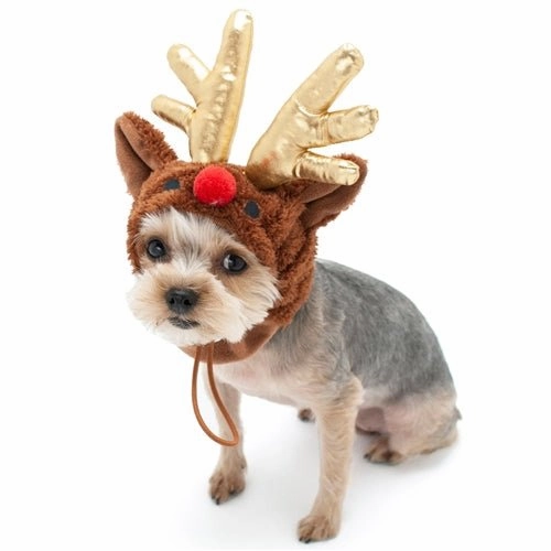 Rudolph Hat in Brown