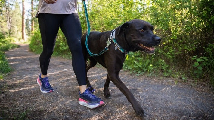 Ruffwear Crag Reflective Dog Leash