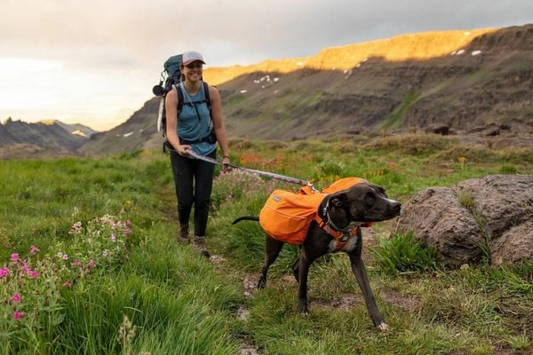 Ruffwear Crag Reflective Dog Leash