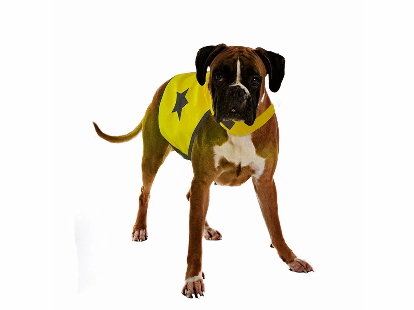 Safety Jacket Fluo M: 48cm neon yellow
