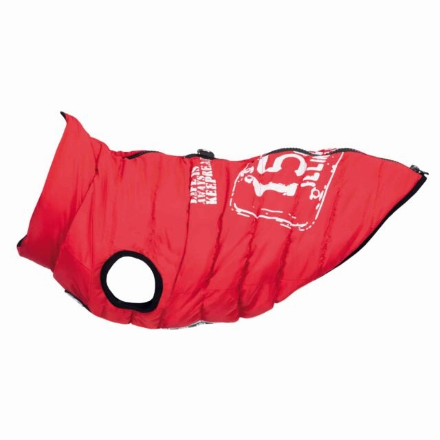 Saint-Malo Dog Coat with Harness