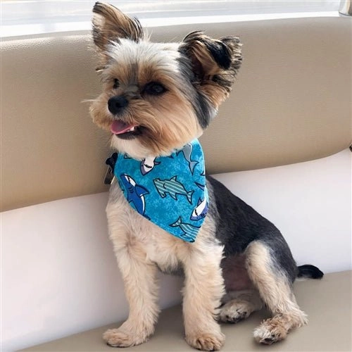 Shark Tank! Dog Bandana