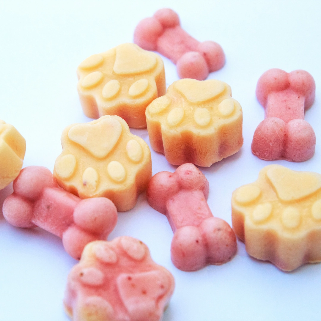 Silicone Paw Moulds | No Fuss Fill