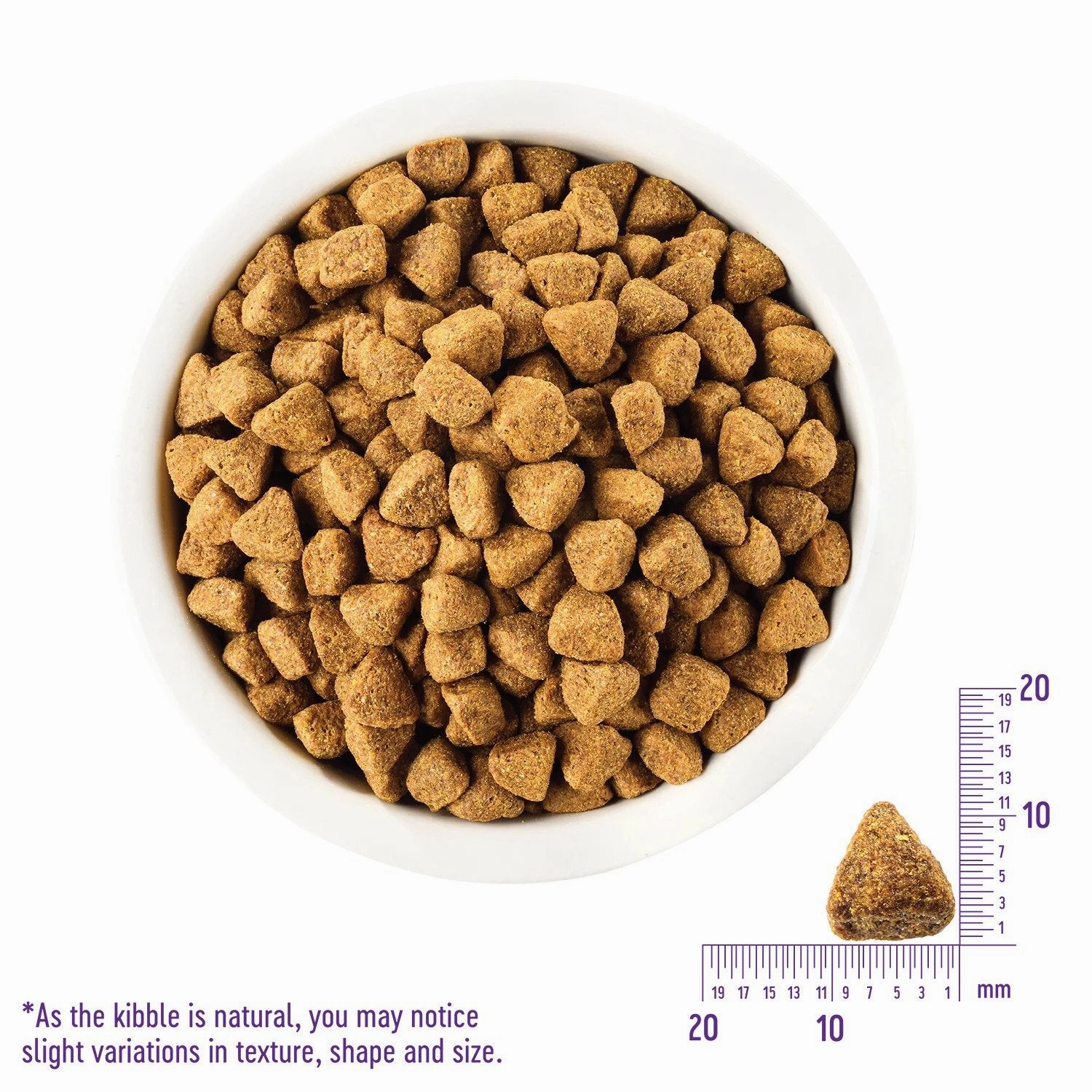 Simple Limited Ingredient Salmon & Potato Dog Dry Food