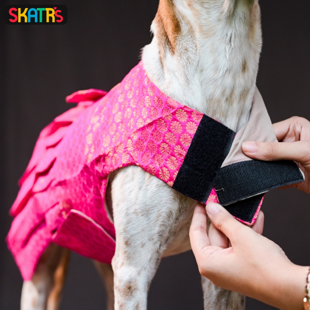 Skatrs Brocade Gold Printed Dress for Dogs and Cats (Pink)