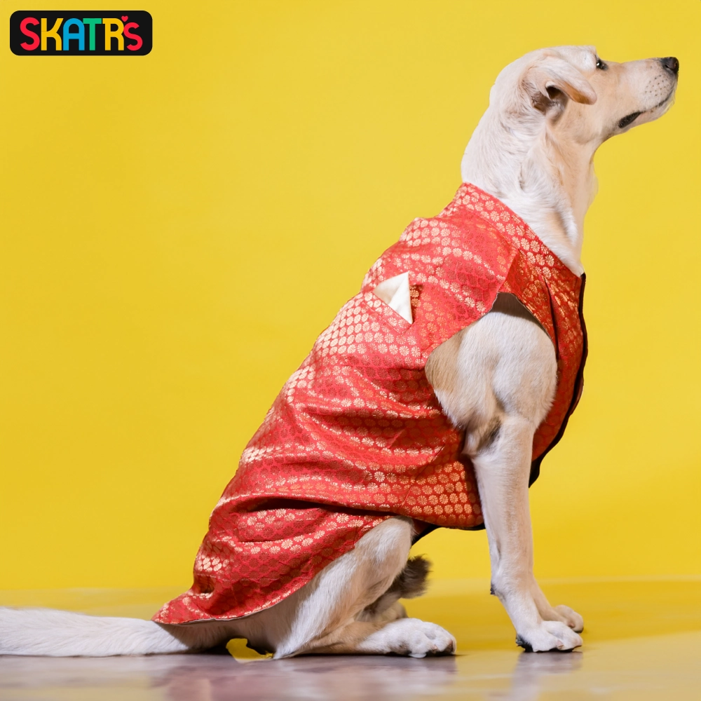Skatrs Brocade Gold Printed Sherwani for Dogs and Cats (Red)