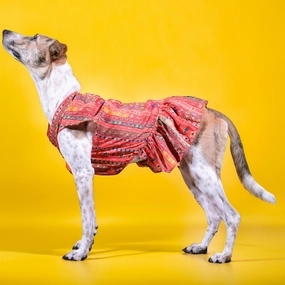 Skatrs Cotton Printed Dress for Dogs and Cats (Red)