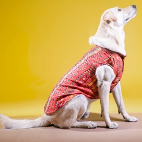 Skatrs Cotton Printed Kurta for Dogs and Cats (Red)