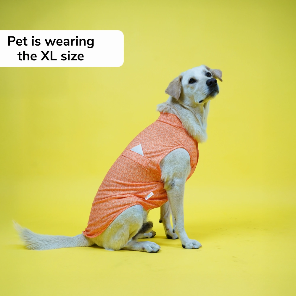 Skatrs Marigold Mandala Printed Kurta for Dogs and Cats (Orange)